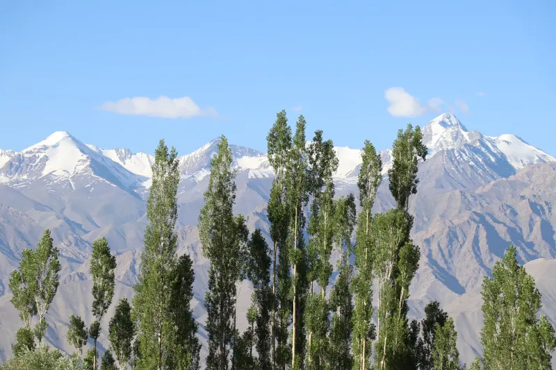 Rumtse to Tsomoriri Trek gallery image